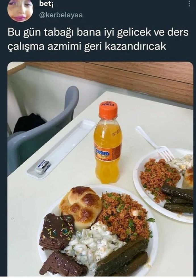 Gün tabağının deva olmadığı bir şey var mı?