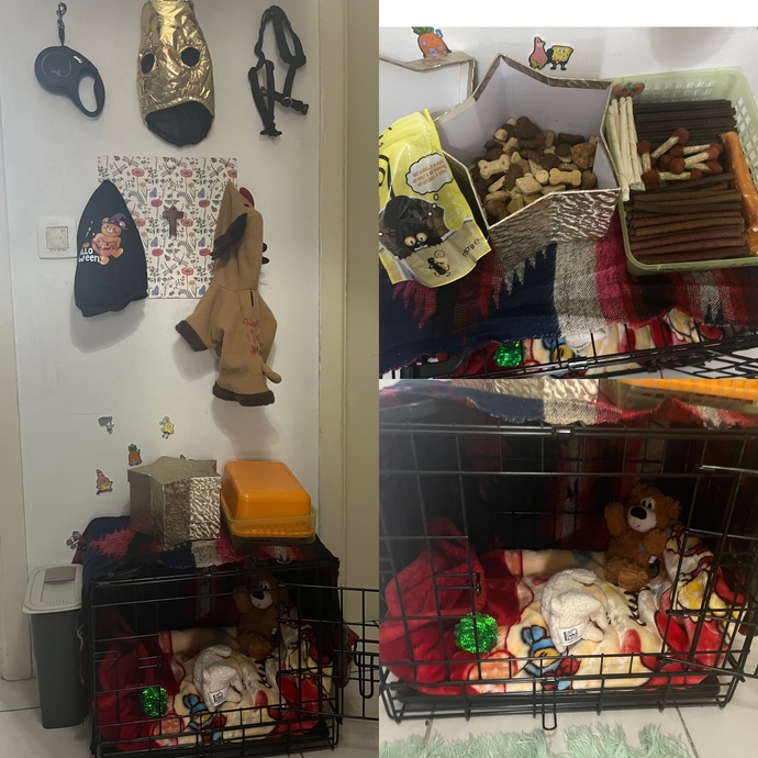 Köpeğimin ufak köşesi nasıl olmuş?