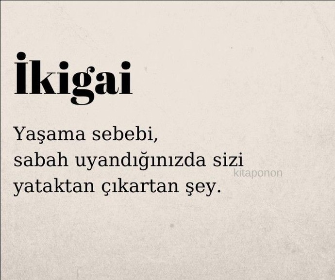 Sizin ikigainiz kim veya ne?