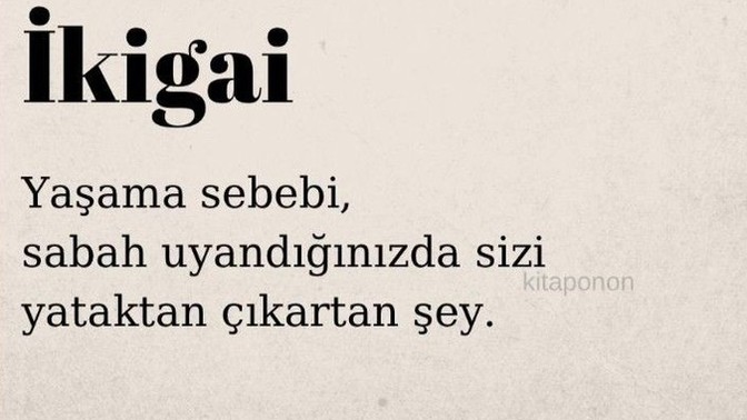 Sizin ikigainiz kim veya ne?