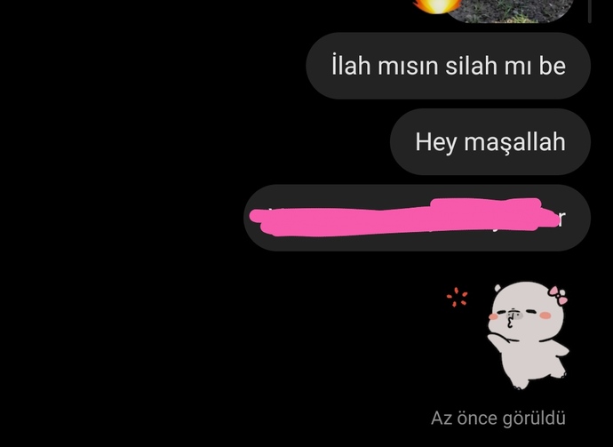 Beğendiğiniz kişiye dmden yürür müsünüz 😂?