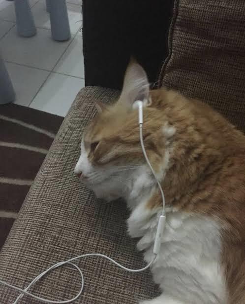Terapi yerine geçen şeyler neler?