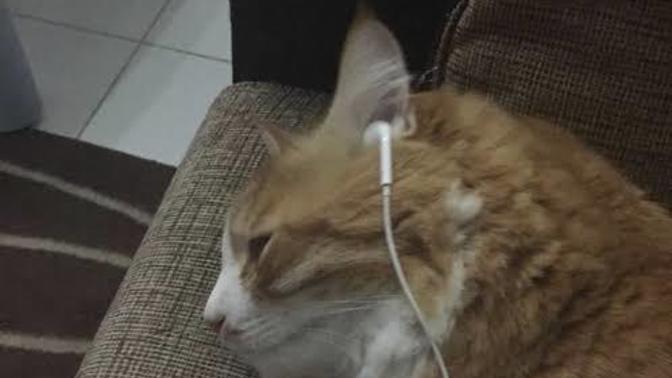 Terapi yerine geçen şeyler neler?