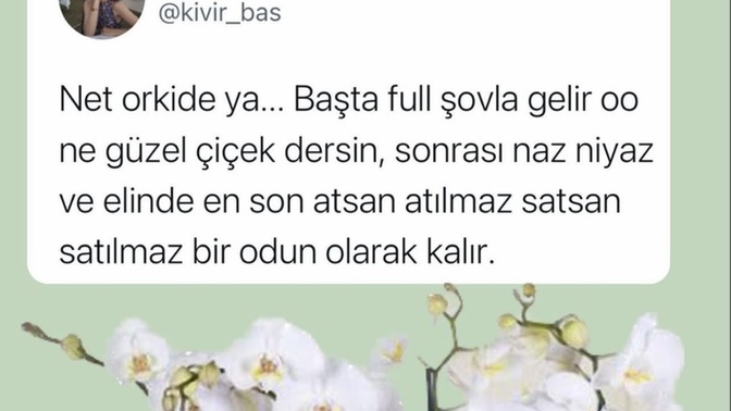 Erkekler bir çiçek olsaydı sizce hangisi olurdu?