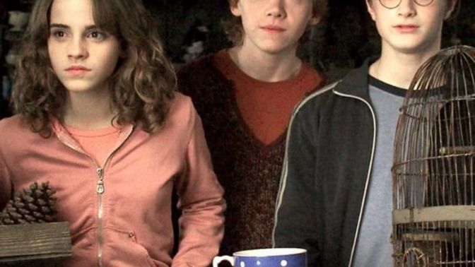 En sevdiğiniz Harry Potter karakteri kim?