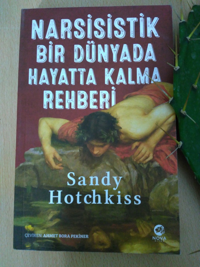 Elimdeki kitaptan 13 ve 248 arası bir sayfa söyleyin. Oradan cümle yazayım olur mu?