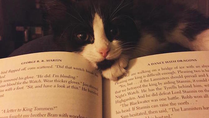 "Mutlaka okunmalı" dediğiniz bir kitap var mı?