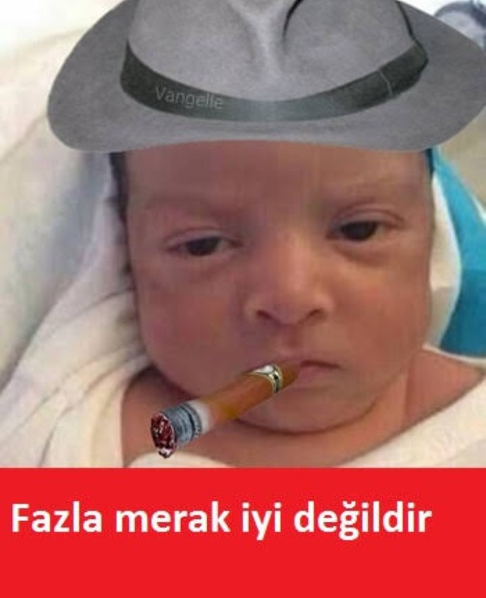 En çok neyi merak ediyorsunuz?