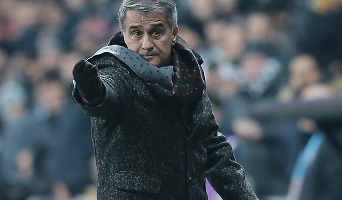 Şenol Baba sizce yararlı olur mu?