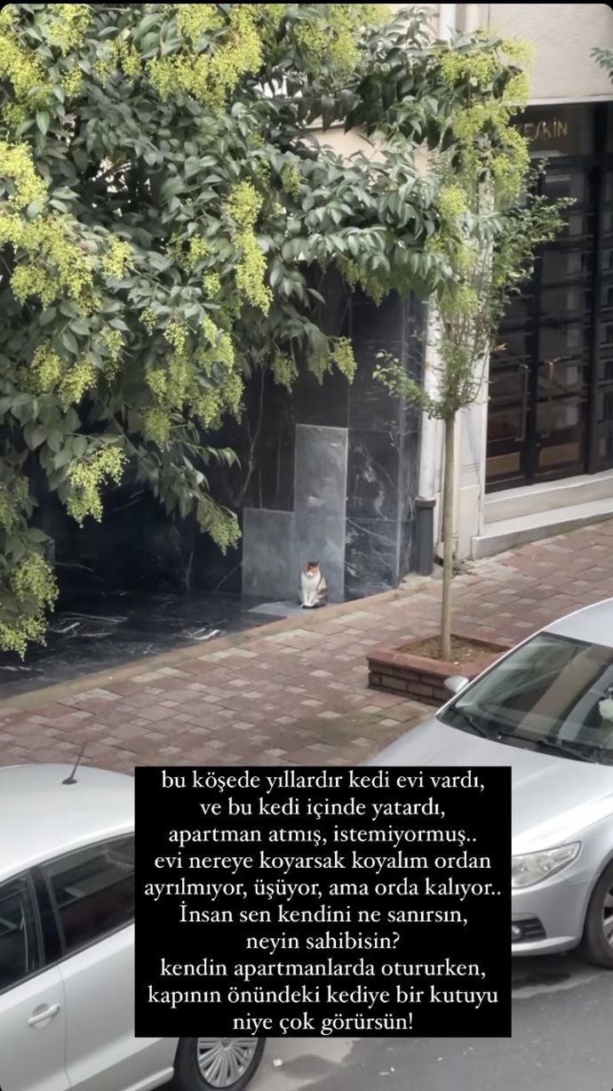 İnsanın bi kediyle alıp veremediği ne olabilir ya😟?