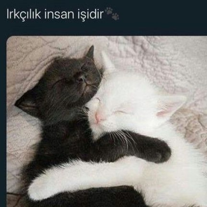İnsan ayrımı yapar mısınız?