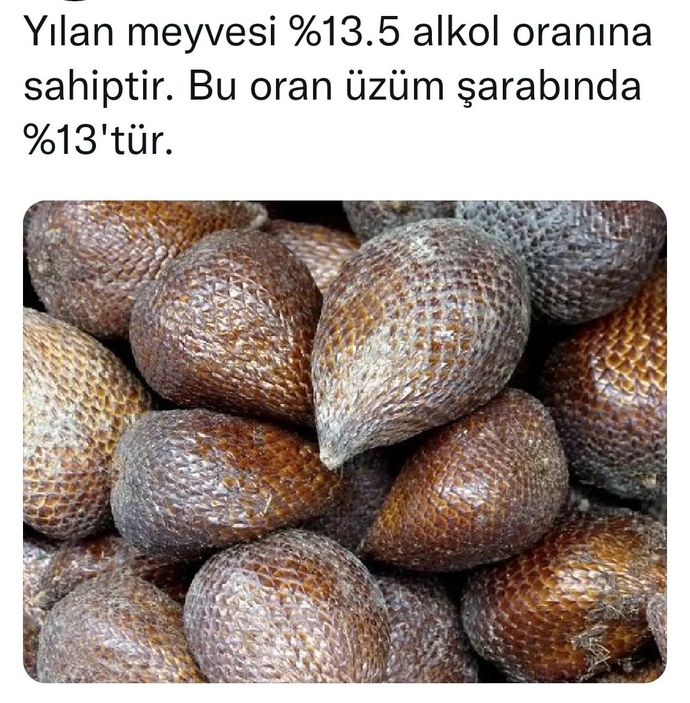 Şimdi bu meyve helal mi?