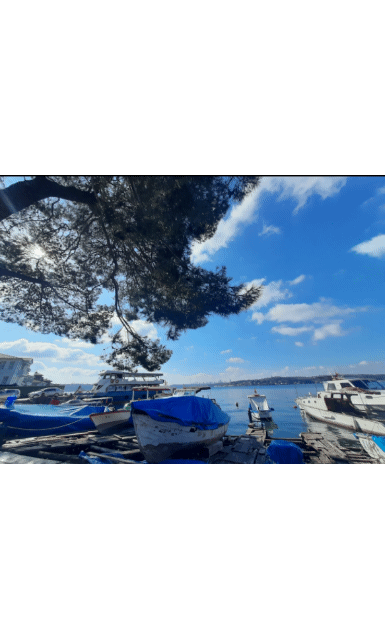 Fotoğraf çektim🙂
