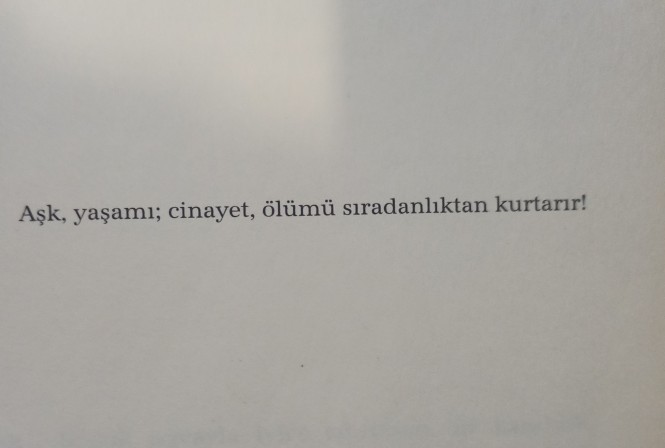Ayda kaç kitap okuyorsunuz?