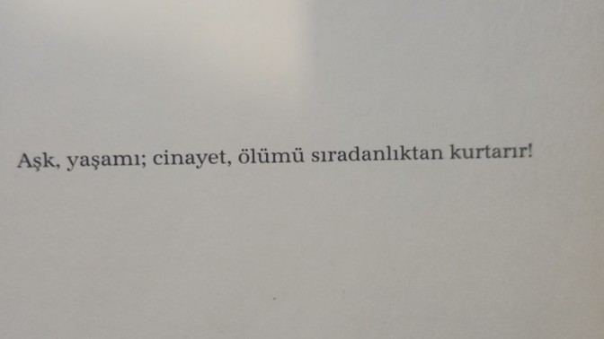 Ayda kaç kitap okuyorsunuz?