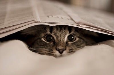 Kitap hediyesi sizi mutlu eder mi?