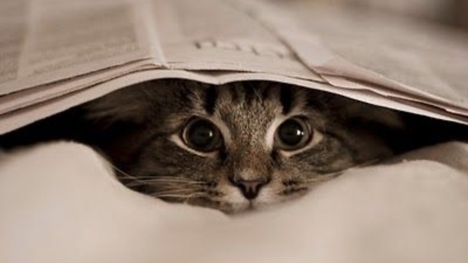 Kitap hediyesi sizi mutlu eder mi?