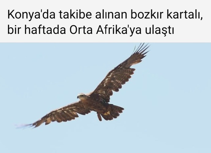 - siz ne kadar uçarsınız ?