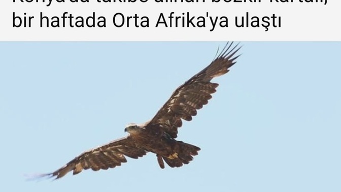 - siz ne kadar uçarsınız ?