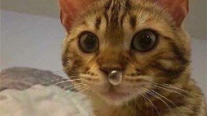 Homofobikler neden hiç susmuyor?