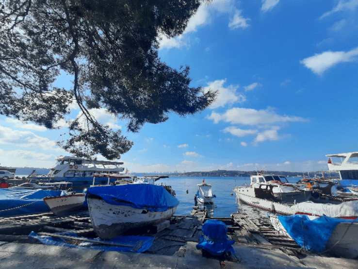 Bu günkü fotomontajlarım😅