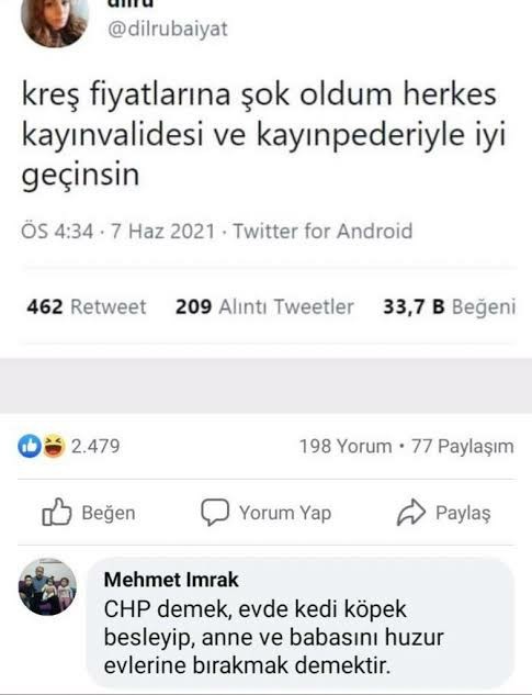Annem ve kedilerim arasında ikilemde kaldım, ne yapmalıyım?