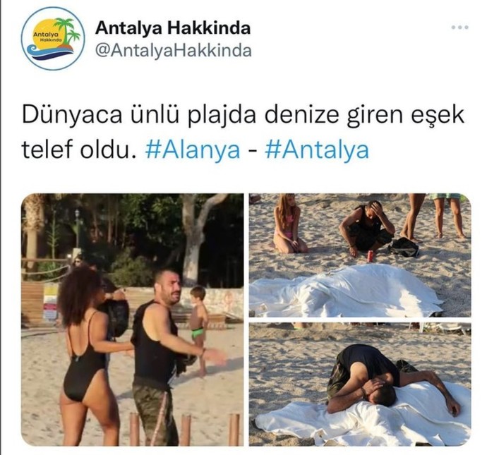 Hayvanları korumak yerine neden böyle bir şey yaparlar ki sizce?