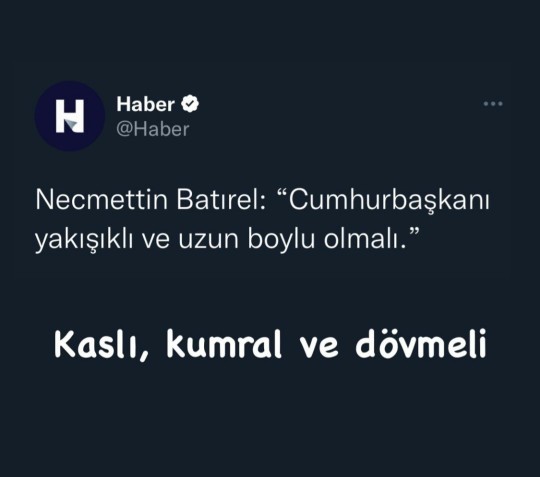 Sizce yeni cumhurbaşkanımız nasıl olmalı?