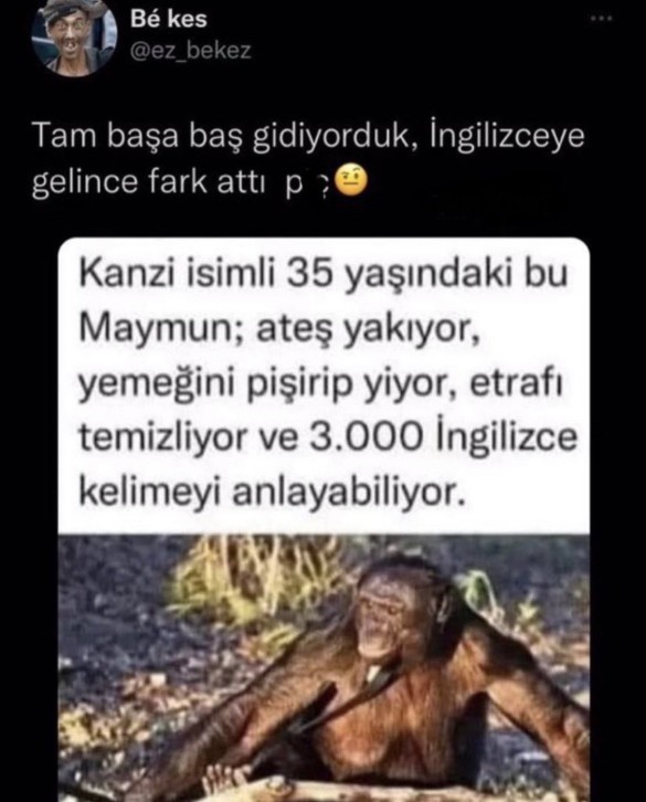 An itibariyle napıyorsunuz?