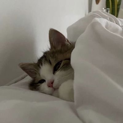 Sizce de soğuk havalarda uyku daha tatlı değil mi?