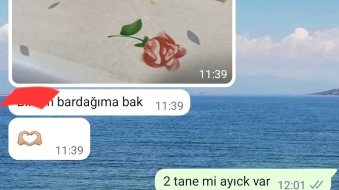 Arkadaşım hava mı attı bana?