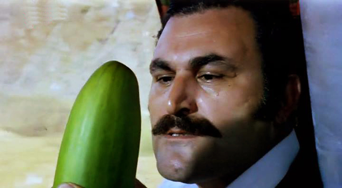 Erkekler bir çiçek olsaydı hangisi olurdu?