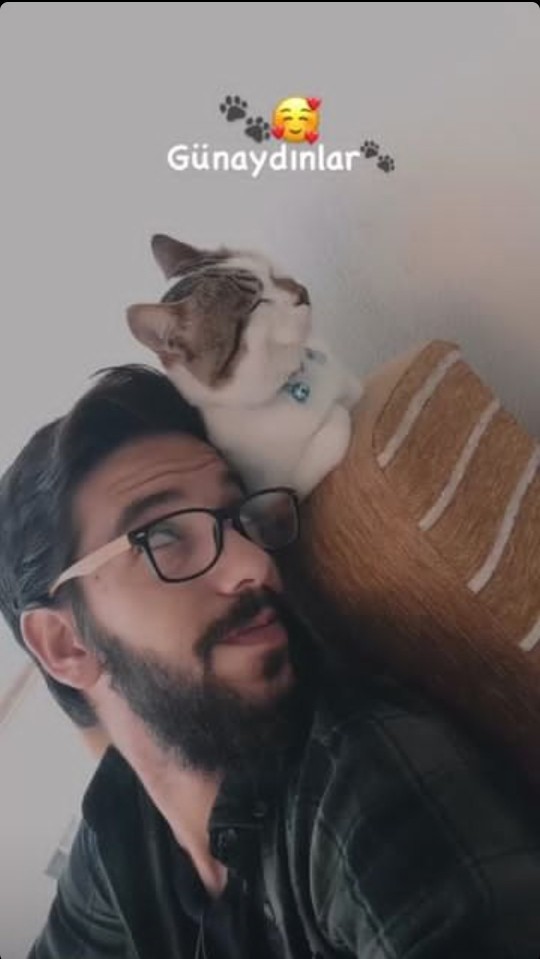 Ev kedisine kendi yediğim yemeklerden versem zararlı mıdır?