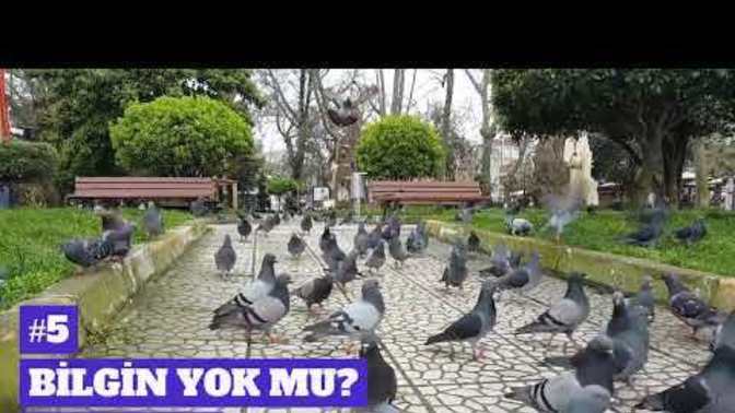 Bahaneleri Bırakmalısın?