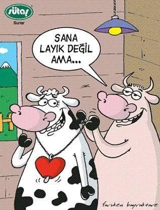 Görünüşünü ve karakterini beğenmeyen sevgili ya da eş hakkında ne düşünüyorsunuz?