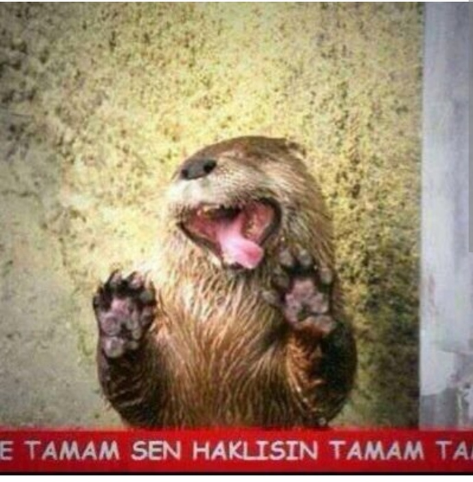 Siz hep haklı mısınız?