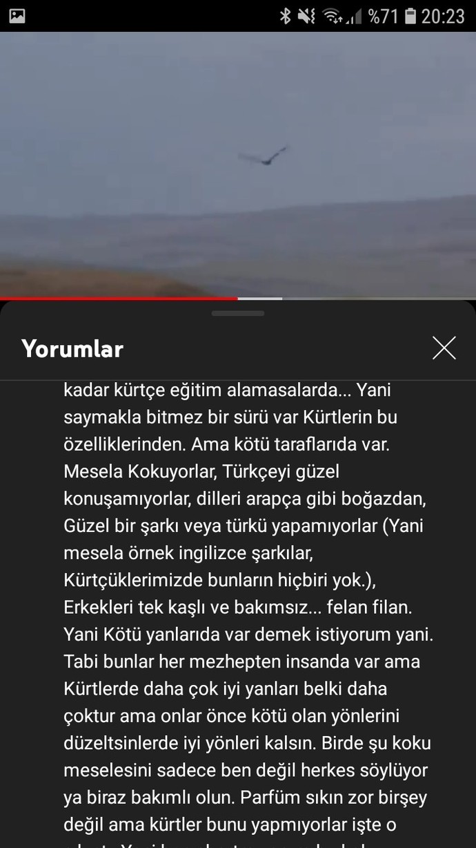Siz olsanız böyle bir yorum hakkında ne derdiniz?