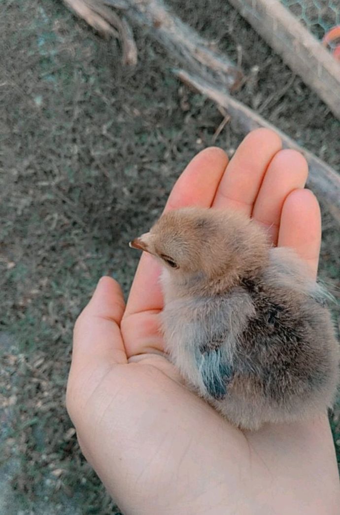 🥰