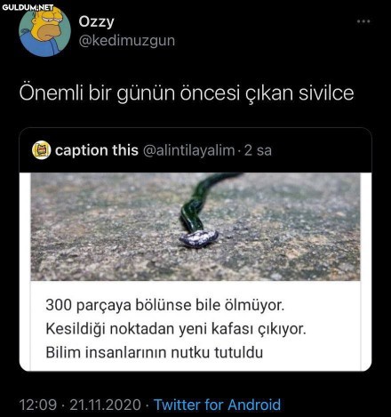 Çıkan sivilceyi sıkmak caiz mi?