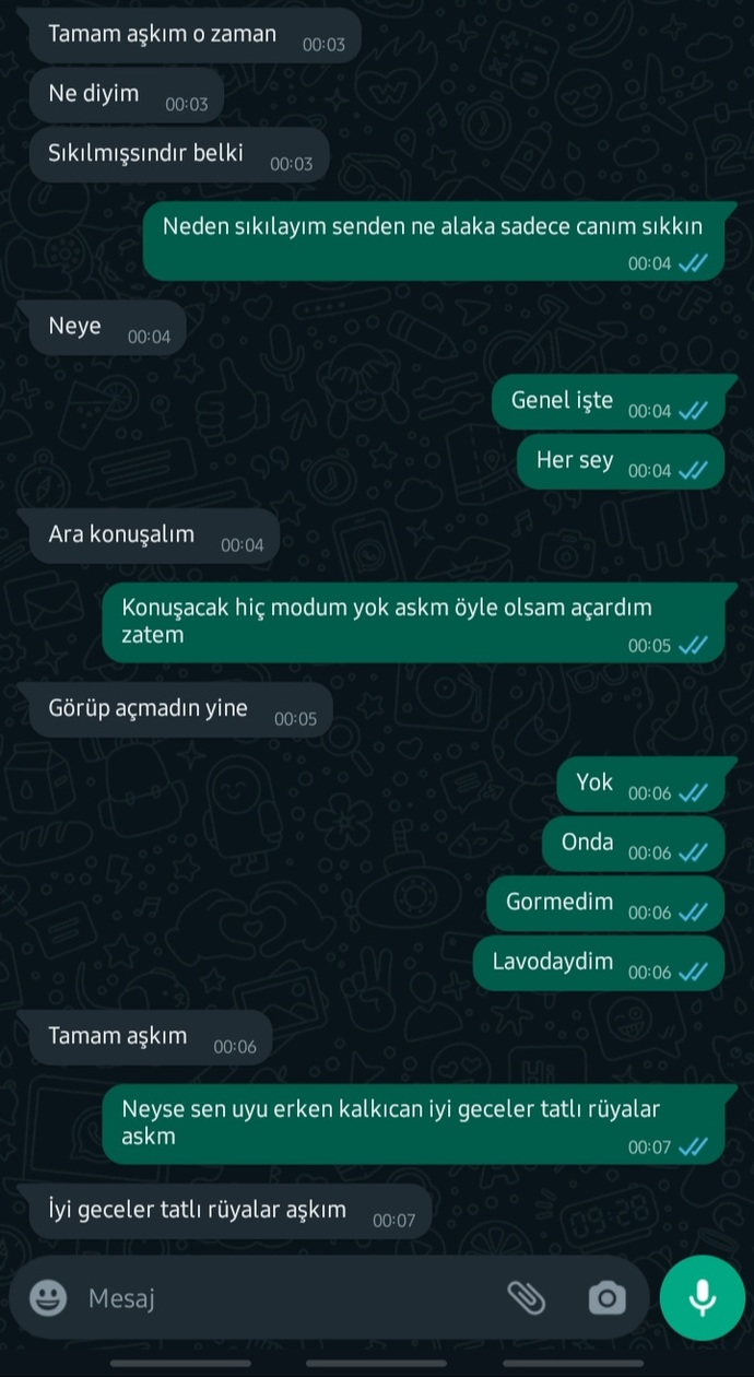 Sizce bu adam seviyor mu yoksa bu mesajlarda kendini belli etmiş mi?