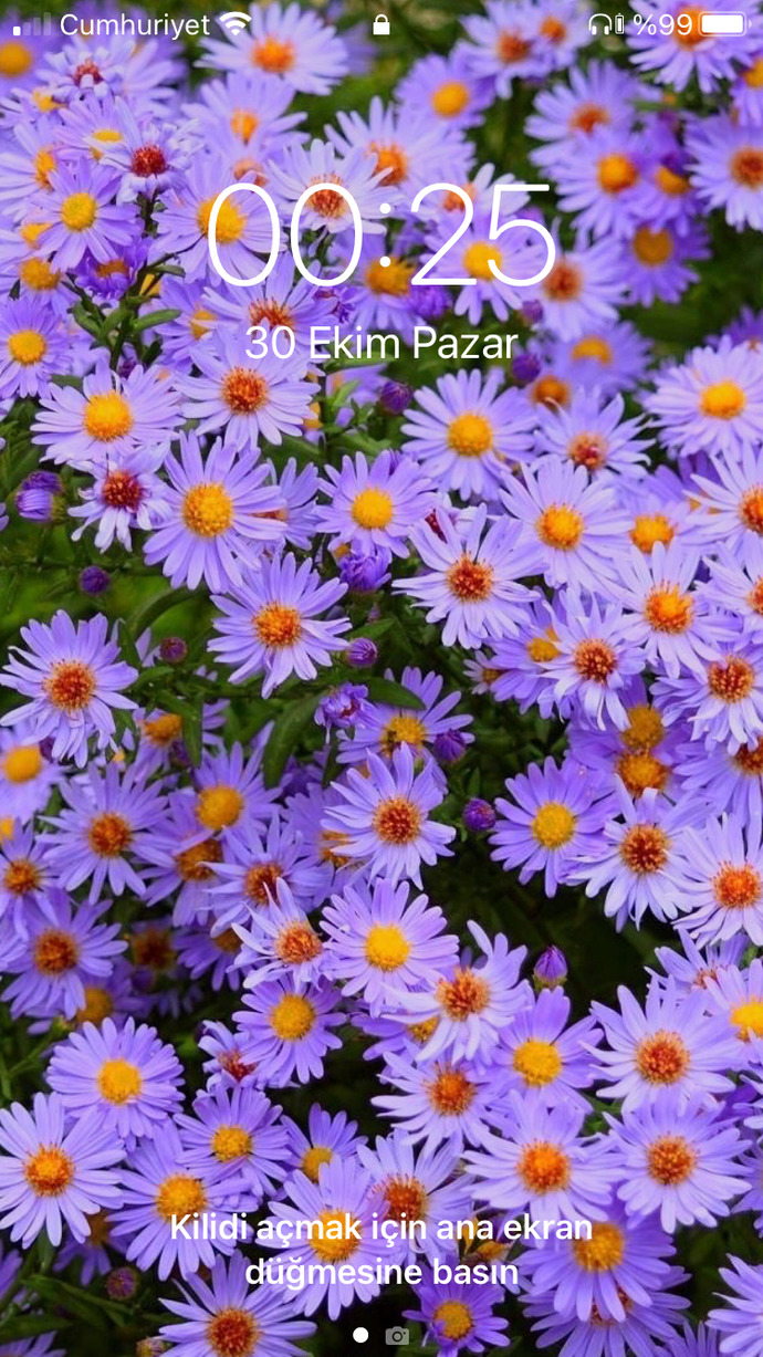 Telefon duvar kağıtlarınızı paylaşır mısınız bakalım neler çıkacak?