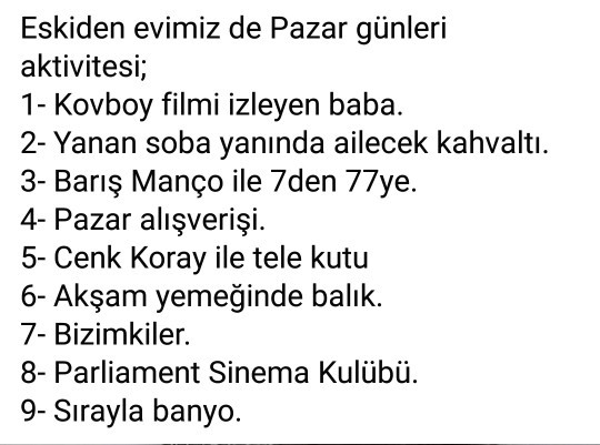 Sizin evin pazar aktivitesi nedir?