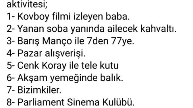 Sizin evin pazar aktivitesi nedir?