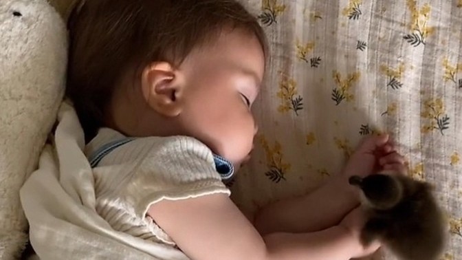 Bebeğinizle evcil hayvanınızın beraber vakit geçirmesini ister misiniz?