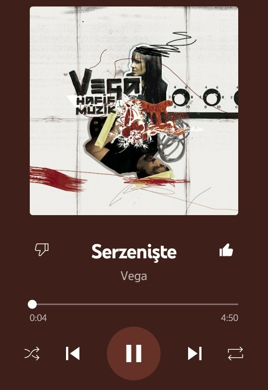 En son neye serzenişte bulundunuz?