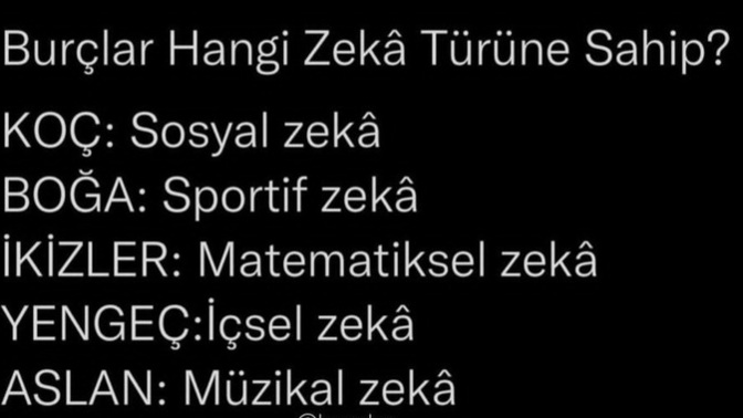 Burnunuza göre hangi zeka türüne sahipsiniz?