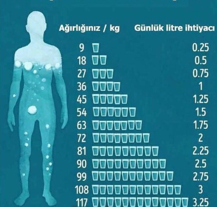 Fazla su içmek zararlı mıdır?