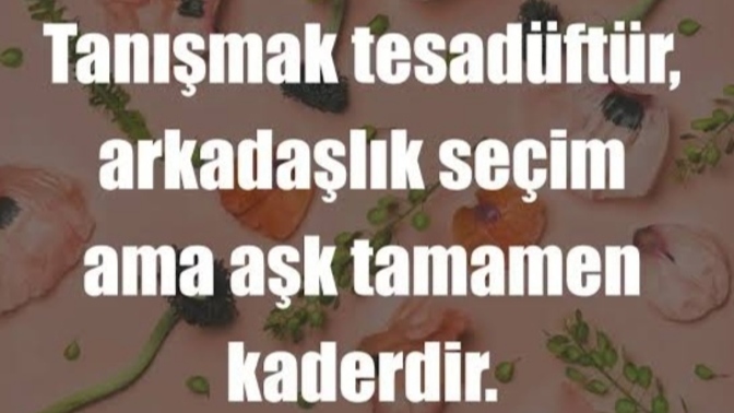 Sizinle tanışmak istiyorum diye mesaj atmamı ister miydiniz?