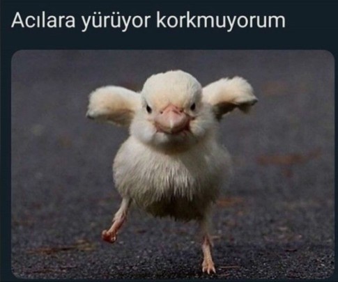 İlişki sabıkası diye bir rapor olsaydı senin raporunda ne yazardı?