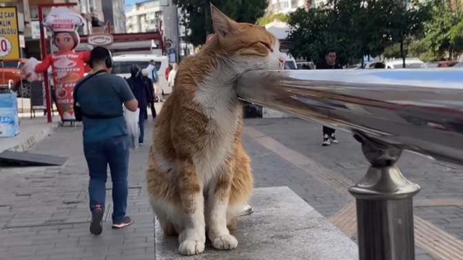Türkiye'de ne olmak zor?
